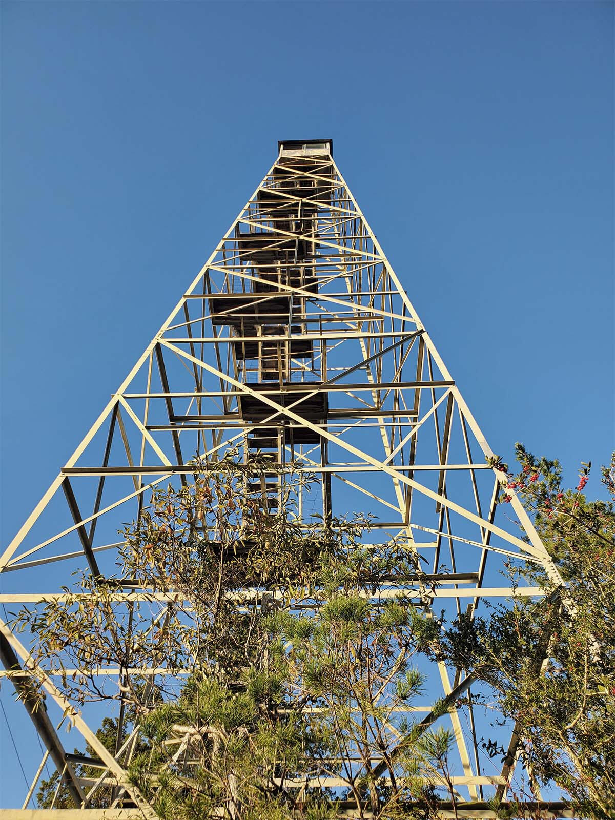 Excelsior Fire Towers
