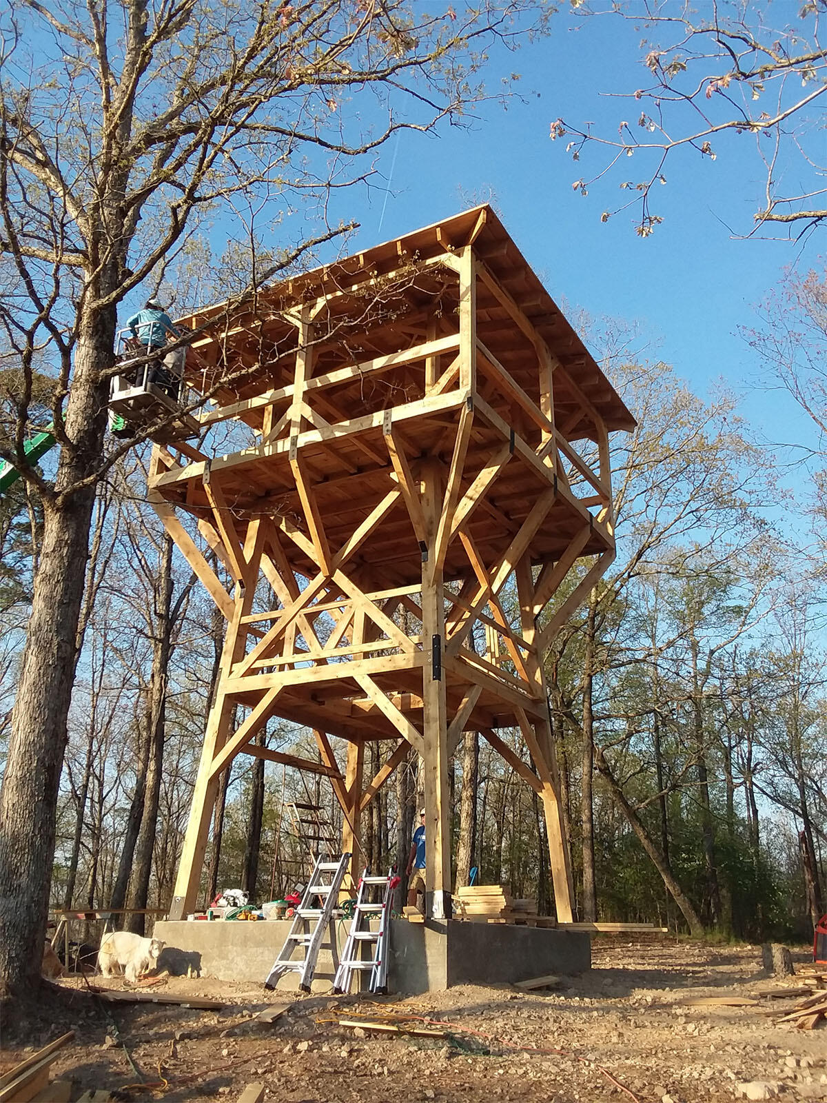 Excelsior Fire Towers